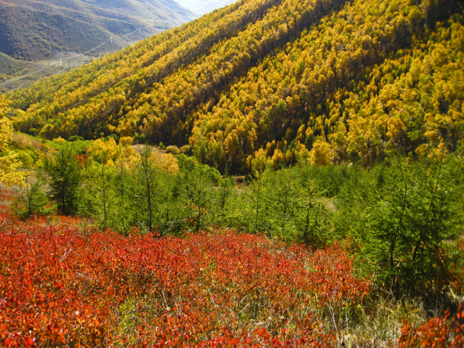 a33cfbdcbc3eb1355e9ebff1a61ea8d3fc1f44dd